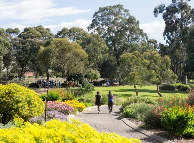 Wittunga Botanic Garden, Australia